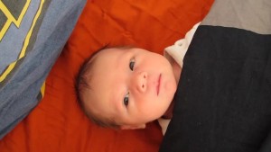 MVI_0012 - Computer vignette