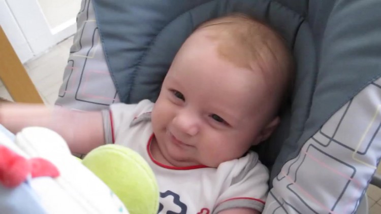 MVI_1225-desktop vignette